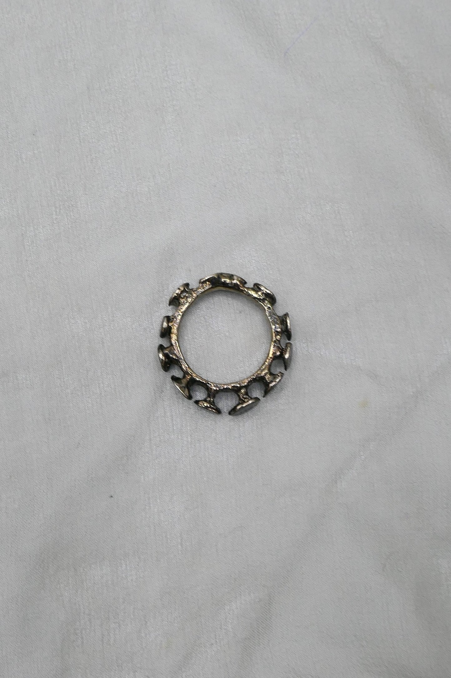 THE NAILED RING
